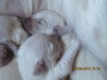 /album/pennut/img-2743-jpg/